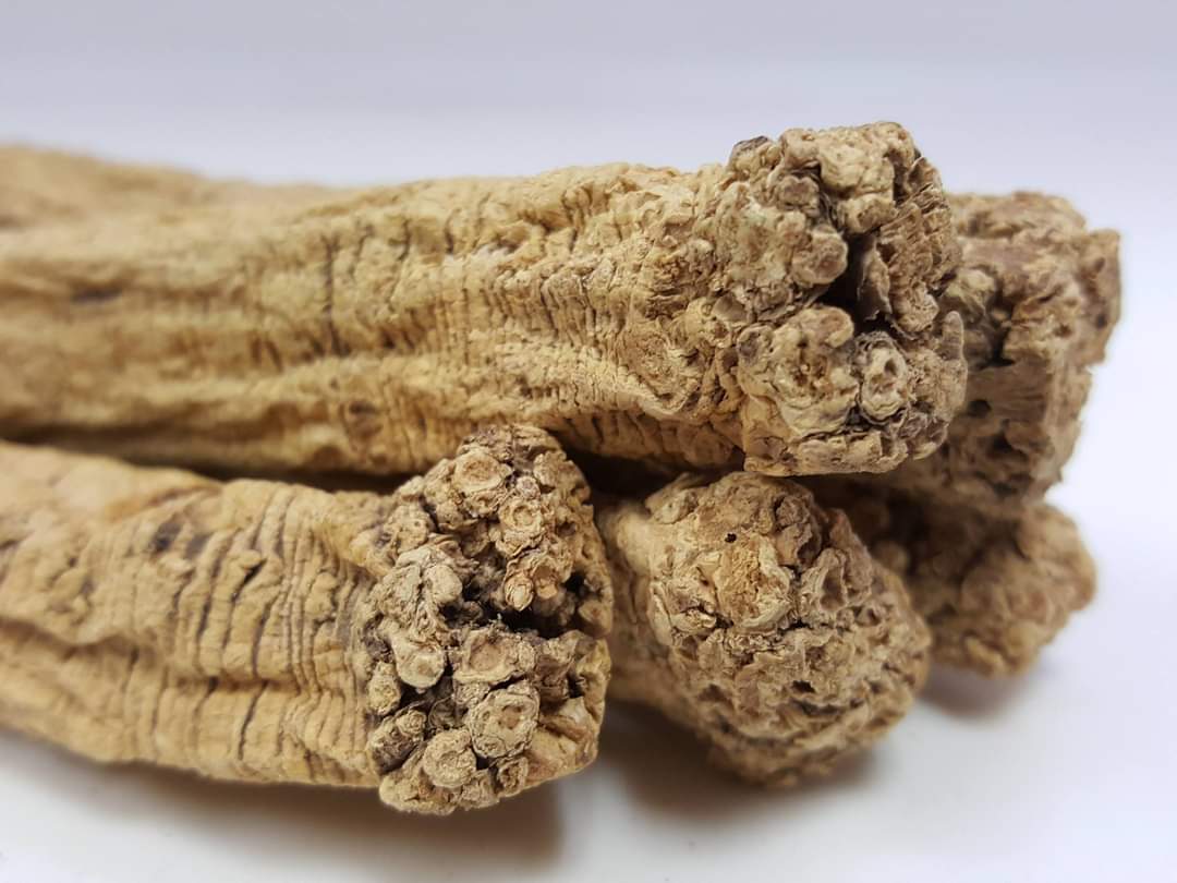 原色黨參(紋黨)150g - 蕭藥師