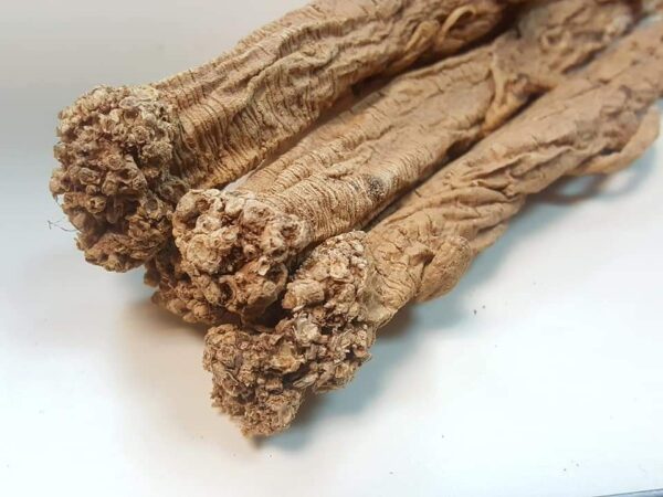 原色黨參(紋黨)150g - 蕭藥師